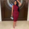 Womens Half Turtleneck Sleeveless Pleated Dress